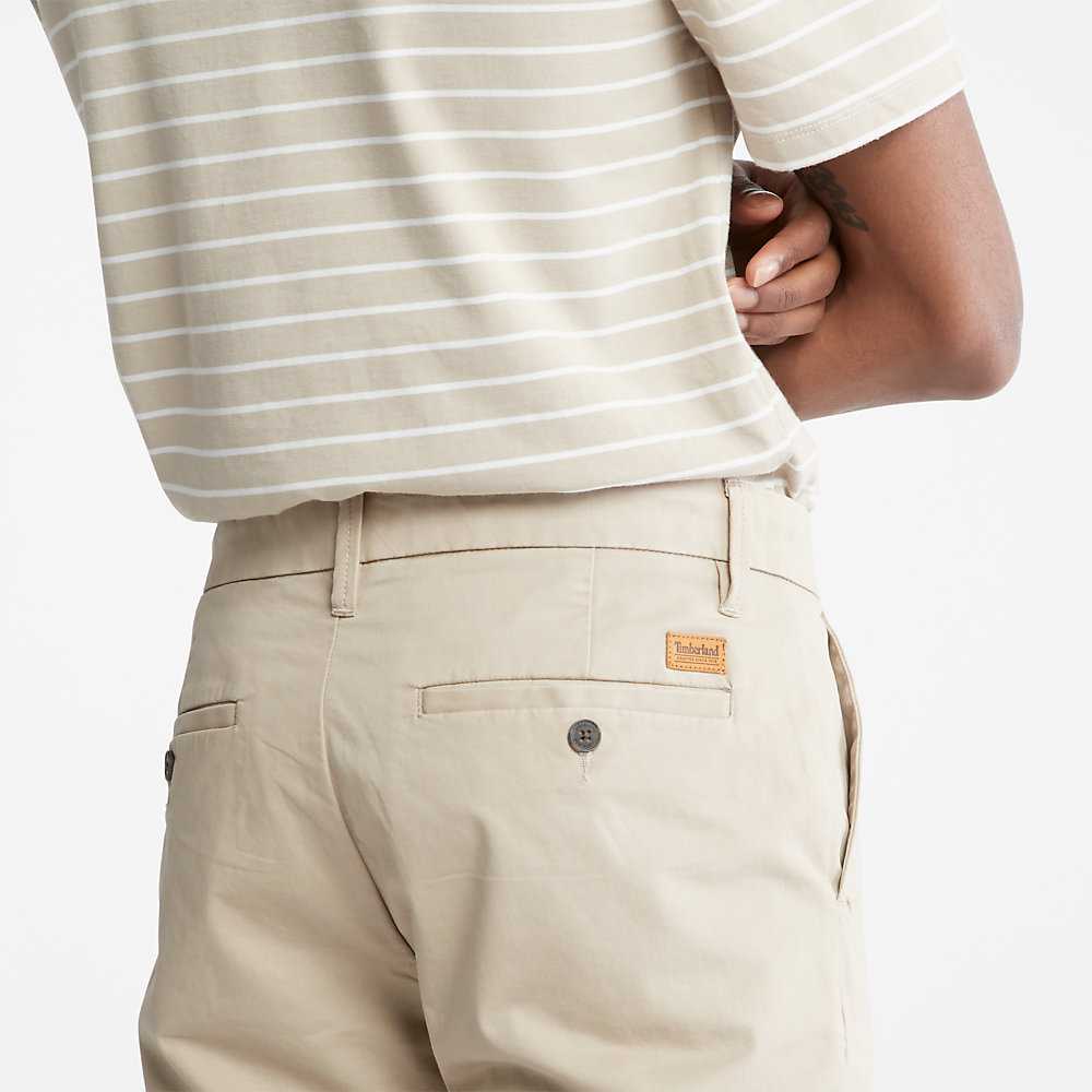 Men's Timberland Squam Lake Chinos Beige | UAE-3529074