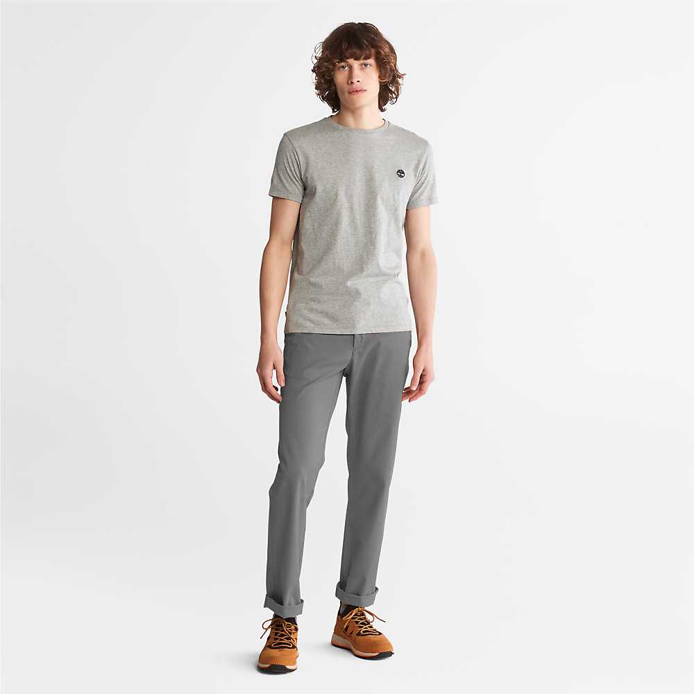 Men's Timberland Squam Lake Chinos Grey | UAE-9078214