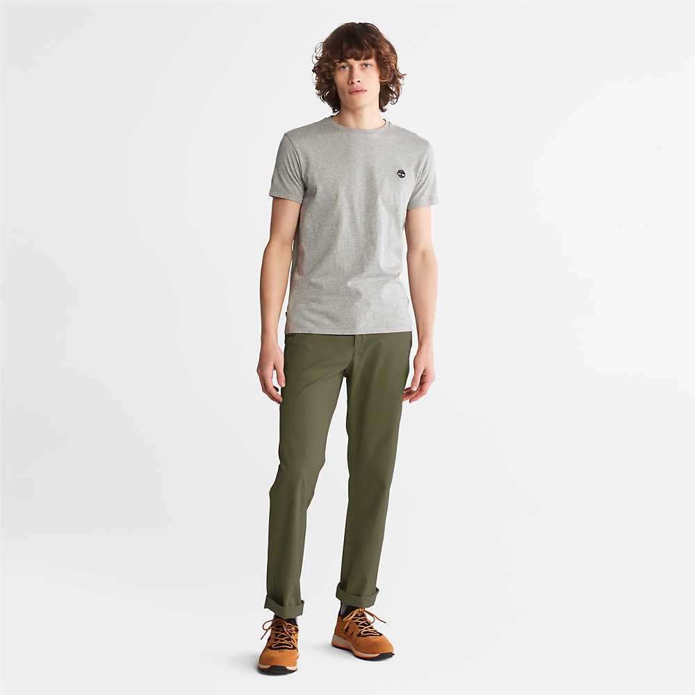 Men's Timberland Squam Lake Pants Green | UAE-3267048