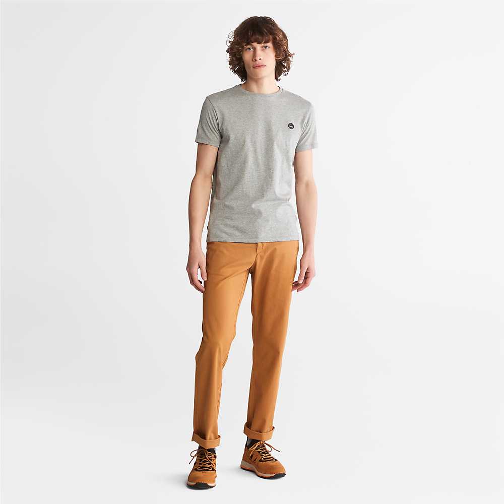 Men's Timberland Squam Lake Pants Yellow | UAE-7896153