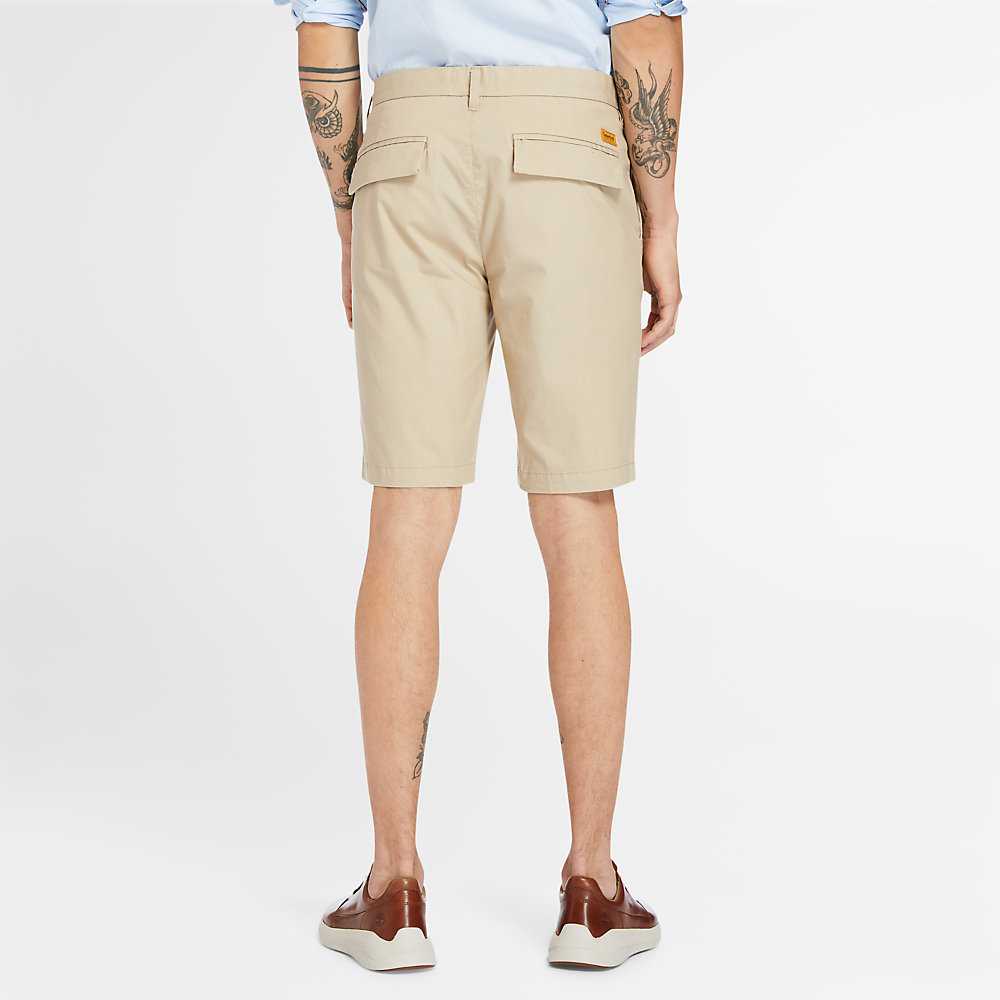 Men's Timberland Squam Lake Shorts Beige | UAE-6278149