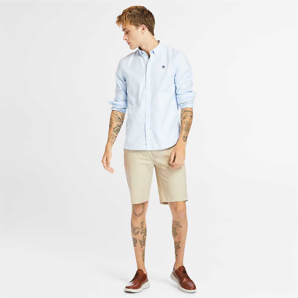 Men's Timberland Squam Lake Shorts Beige | UAE-6278149