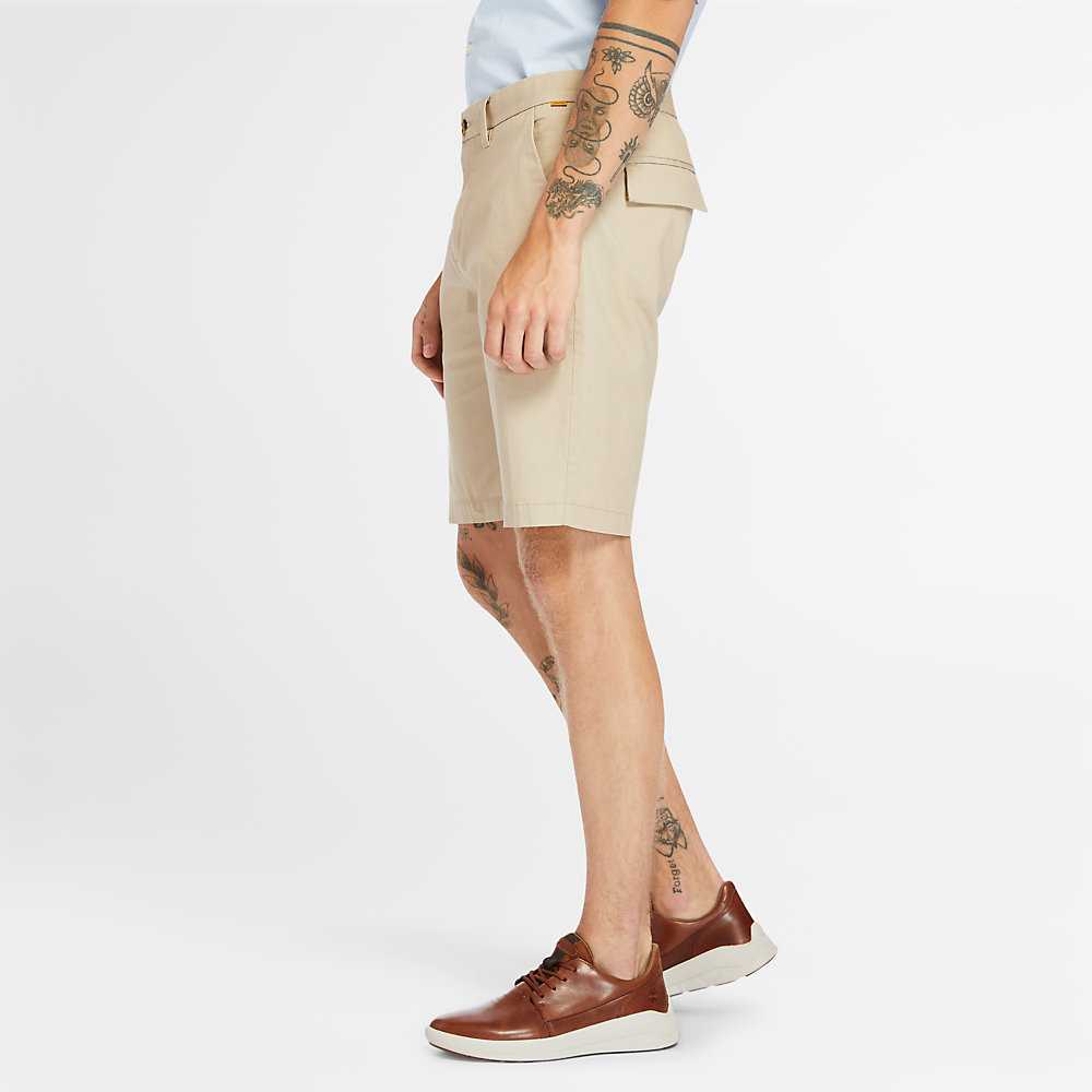 Men's Timberland Squam Lake Shorts Beige | UAE-6278149