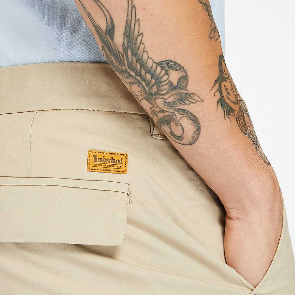 Men's Timberland Squam Lake Shorts Beige | UAE-6278149