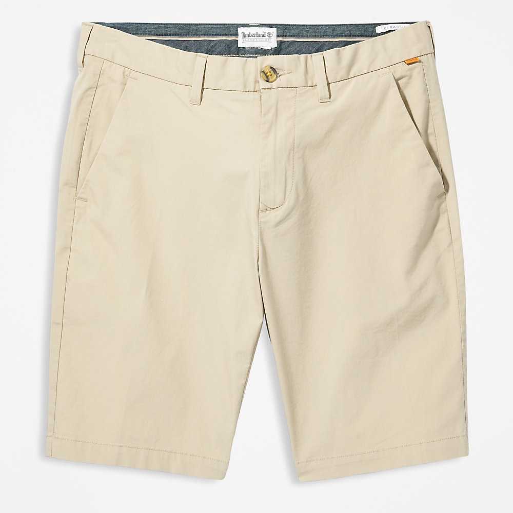 Men's Timberland Squam Lake Shorts Beige | UAE-6278149