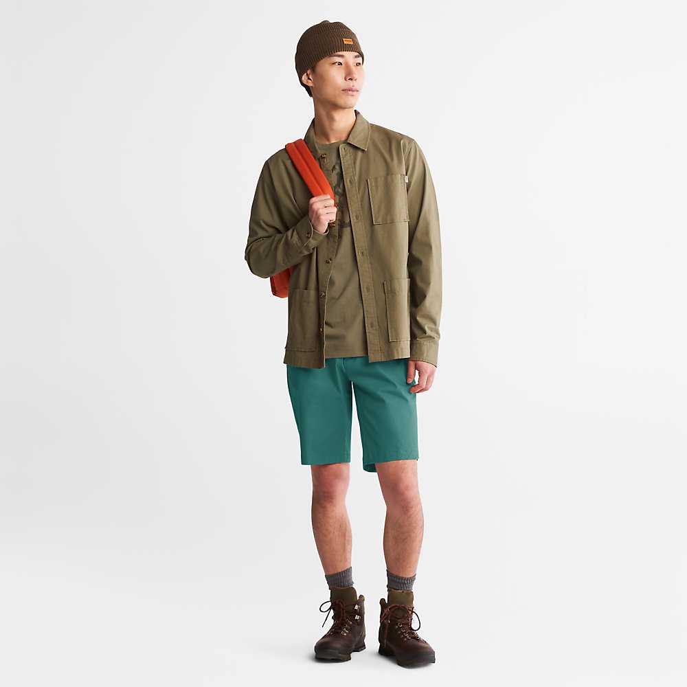 Men's Timberland Squam Lake Shorts Green | UAE-5438172