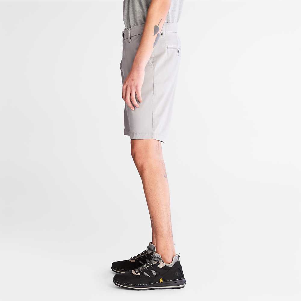 Men's Timberland Squam Lake Shorts Light Grey | UAE-1279834