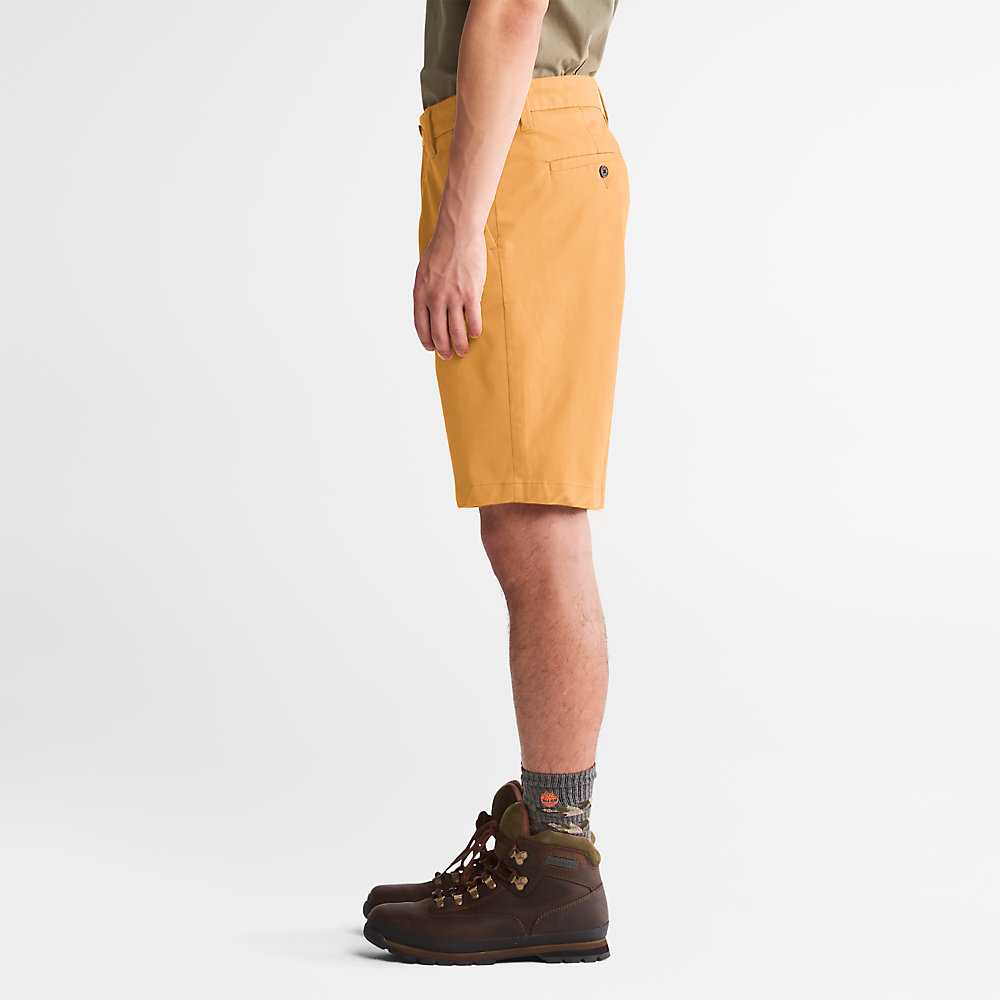 Men's Timberland Squam Lake Shorts Orange | UAE-6014357