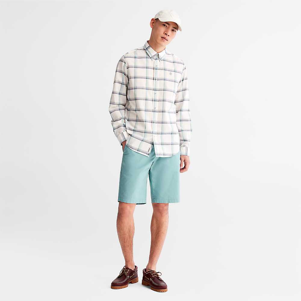 Men's Timberland Squam Lake Shorts Turquoise | UAE-1639072