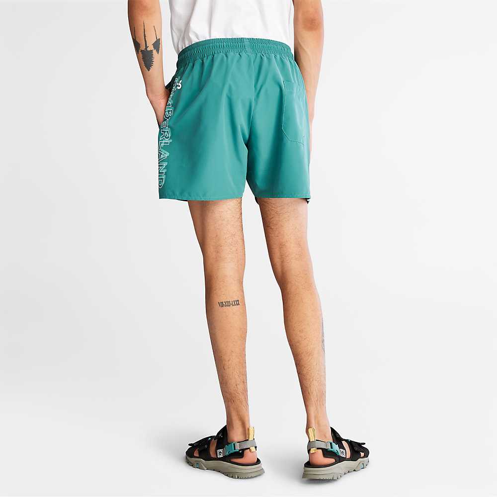 Men's Timberland Sunapee Lake Shorts Green | UAE-6302185