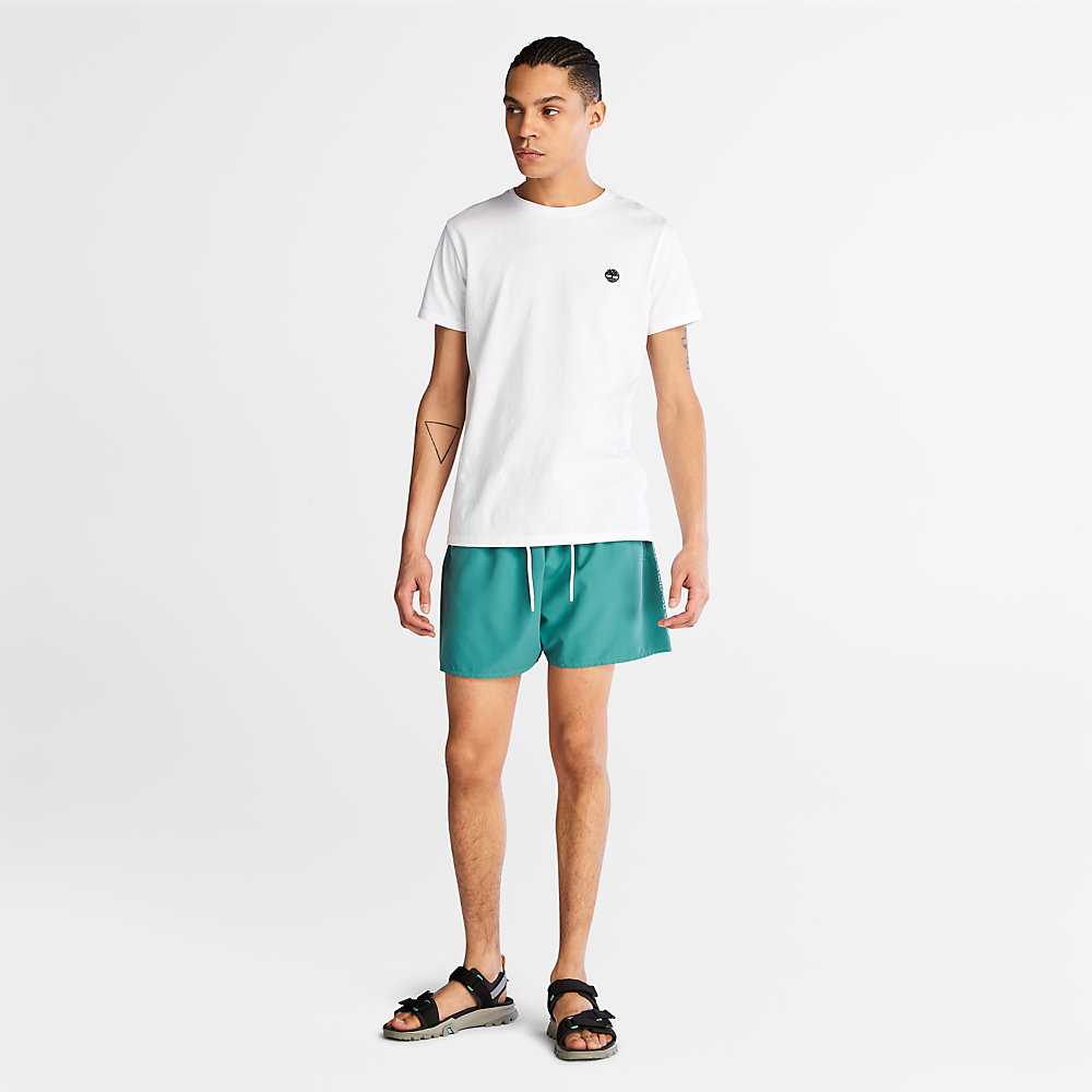 Men's Timberland Sunapee Lake Shorts Green | UAE-6302185