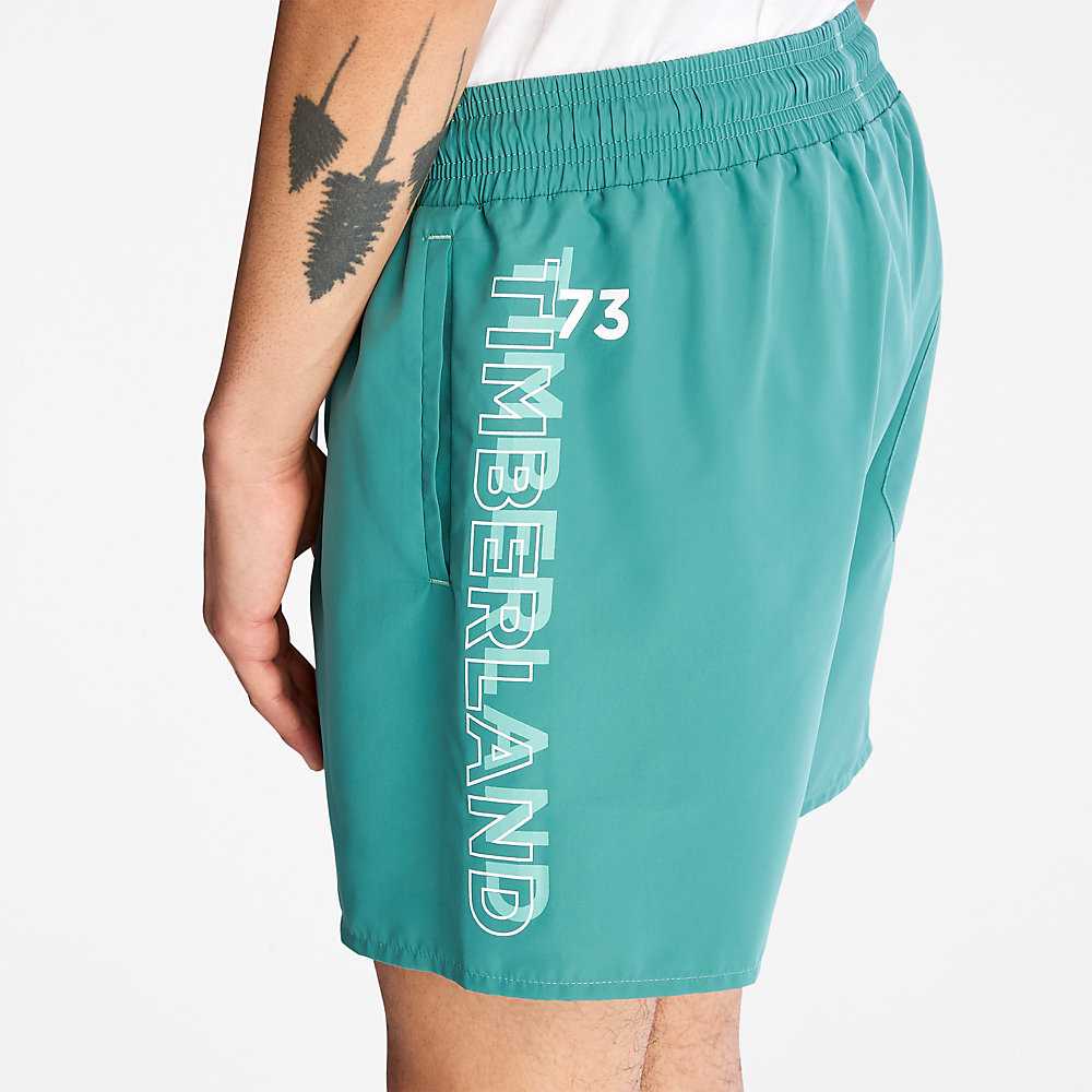 Men's Timberland Sunapee Lake Shorts Green | UAE-6302185