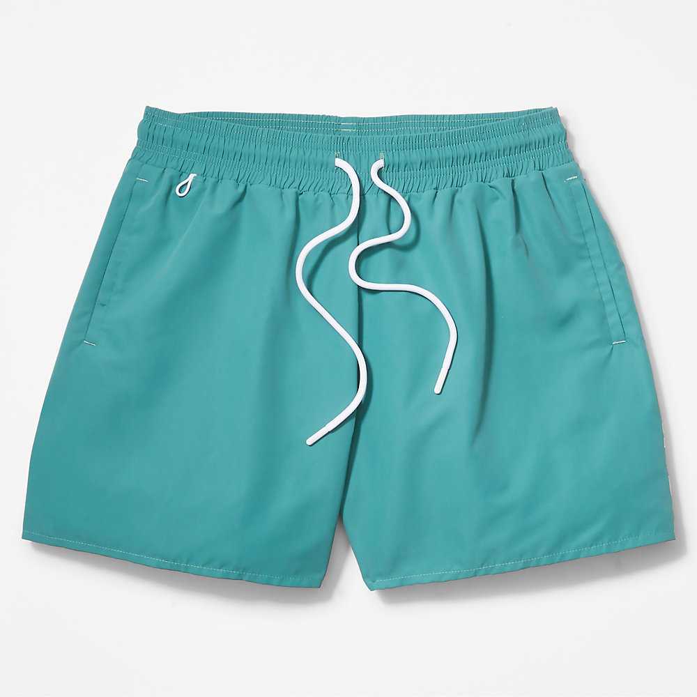 Men's Timberland Sunapee Lake Shorts Green | UAE-6302185