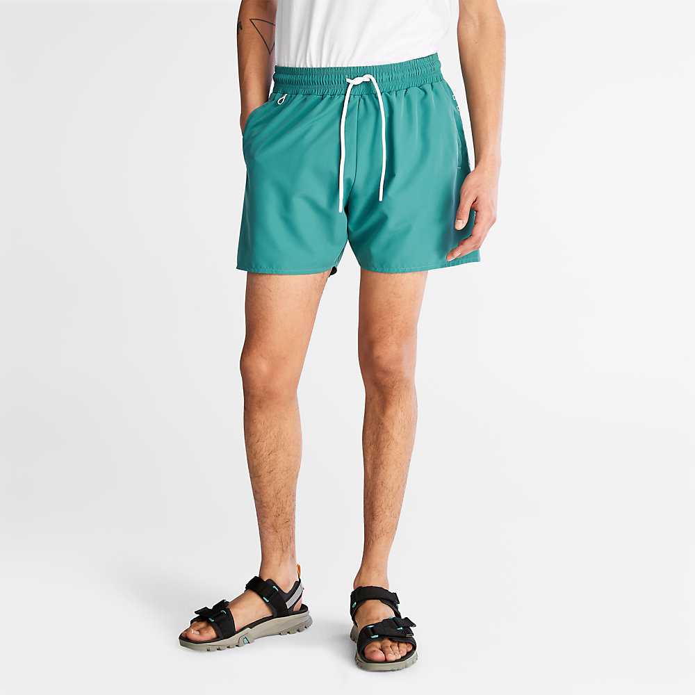 Men\'s Timberland Sunapee Lake Shorts Green | UAE-6302185