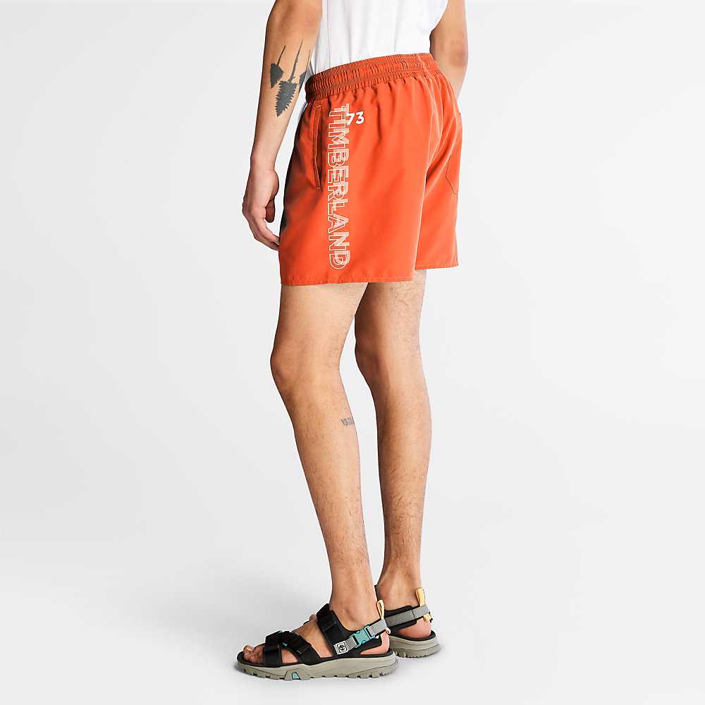 Men's Timberland Sunapee Lake Shorts Orange | UAE-1059782