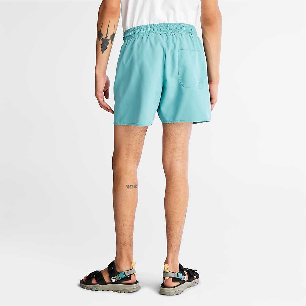 Men's Timberland Sunapee Lake Shorts Turquoise | UAE-8461502