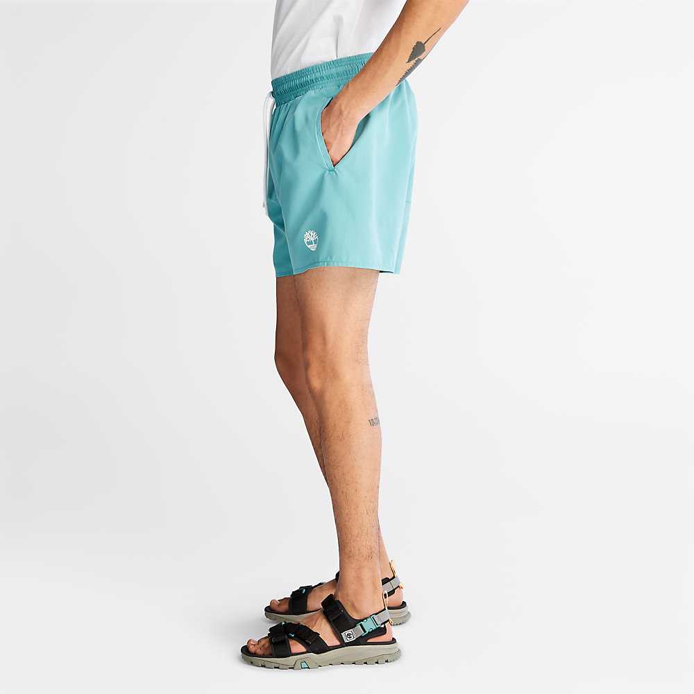 Men's Timberland Sunapee Lake Shorts Turquoise | UAE-8461502