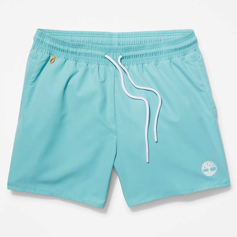 Men's Timberland Sunapee Lake Shorts Turquoise | UAE-8461502