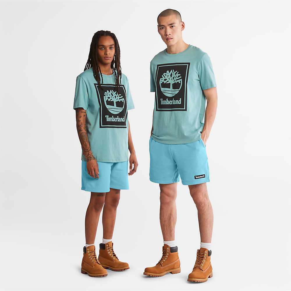 Men's Timberland Tree Logo T Shirts Light Blue | UAE-1589034