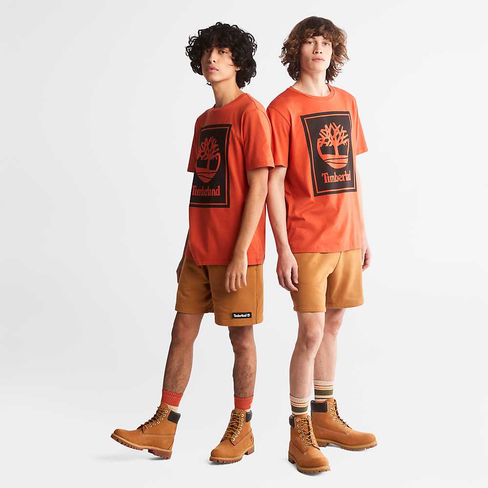 Men's Timberland Tree Logo T Shirts Orange | UAE-5489716