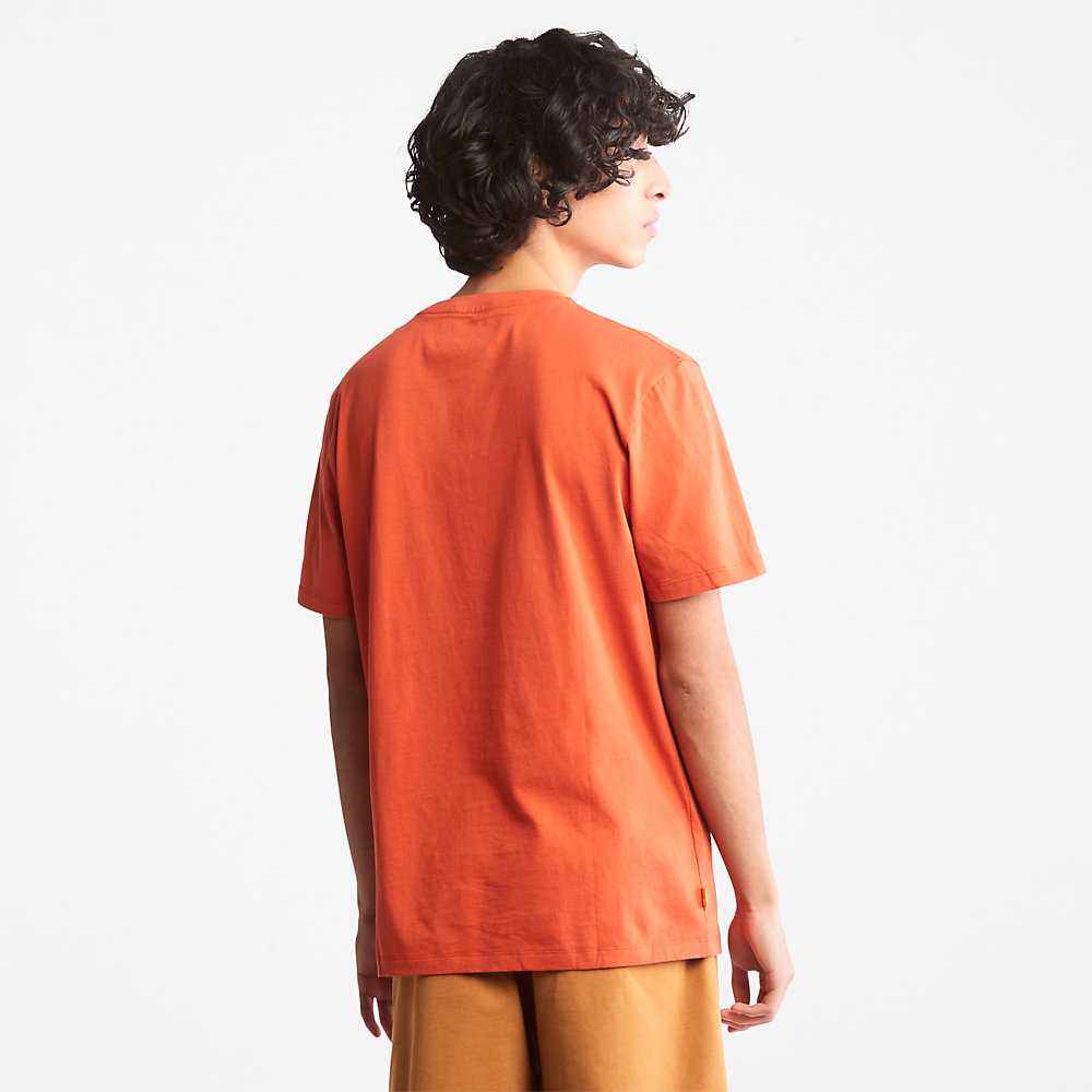 Men's Timberland Tree Logo T Shirts Orange | UAE-5489716