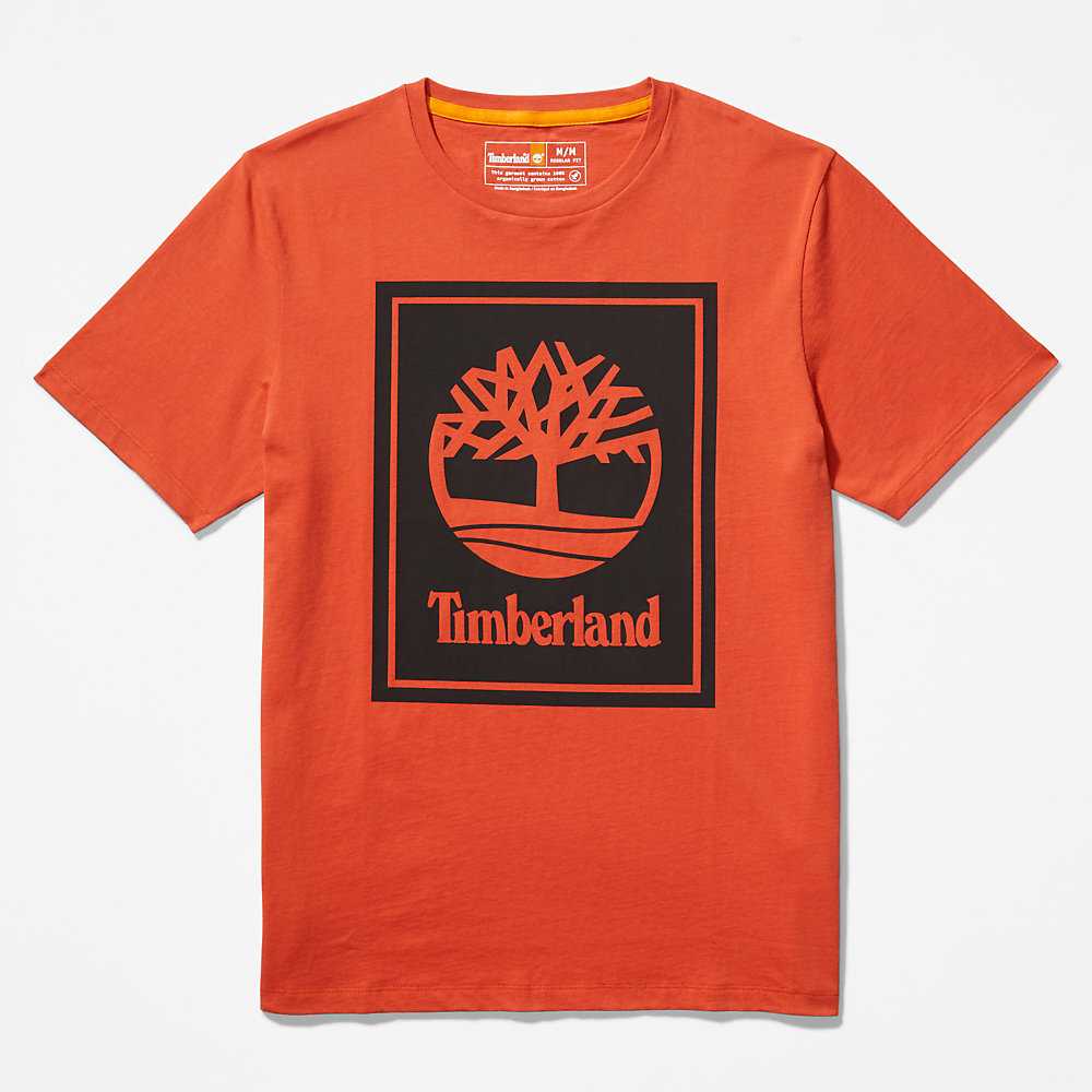 Men's Timberland Tree Logo T Shirts Orange | UAE-5489716