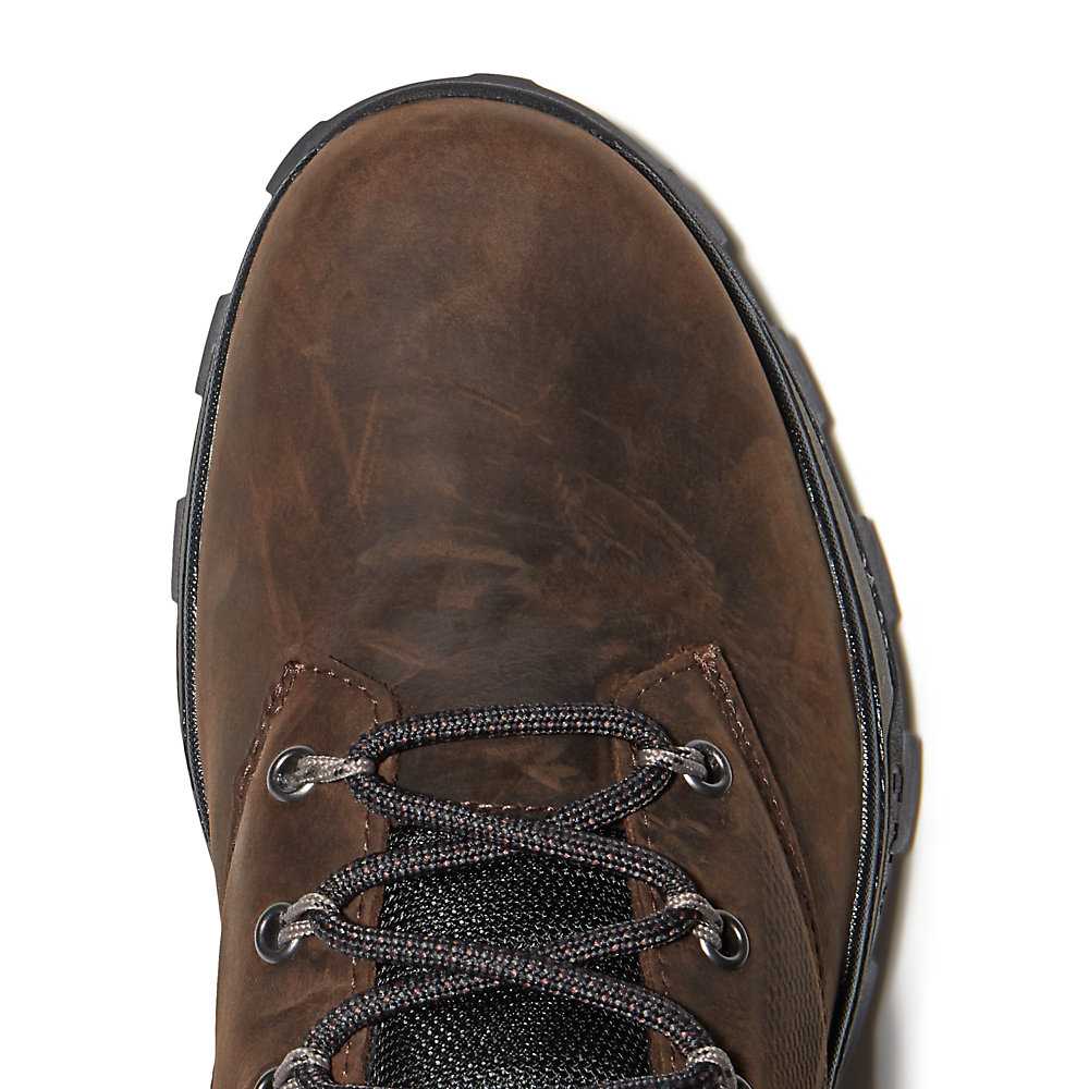 Men's Timberland Treeline Hiking Boots Dark Brown | UAE-8679051