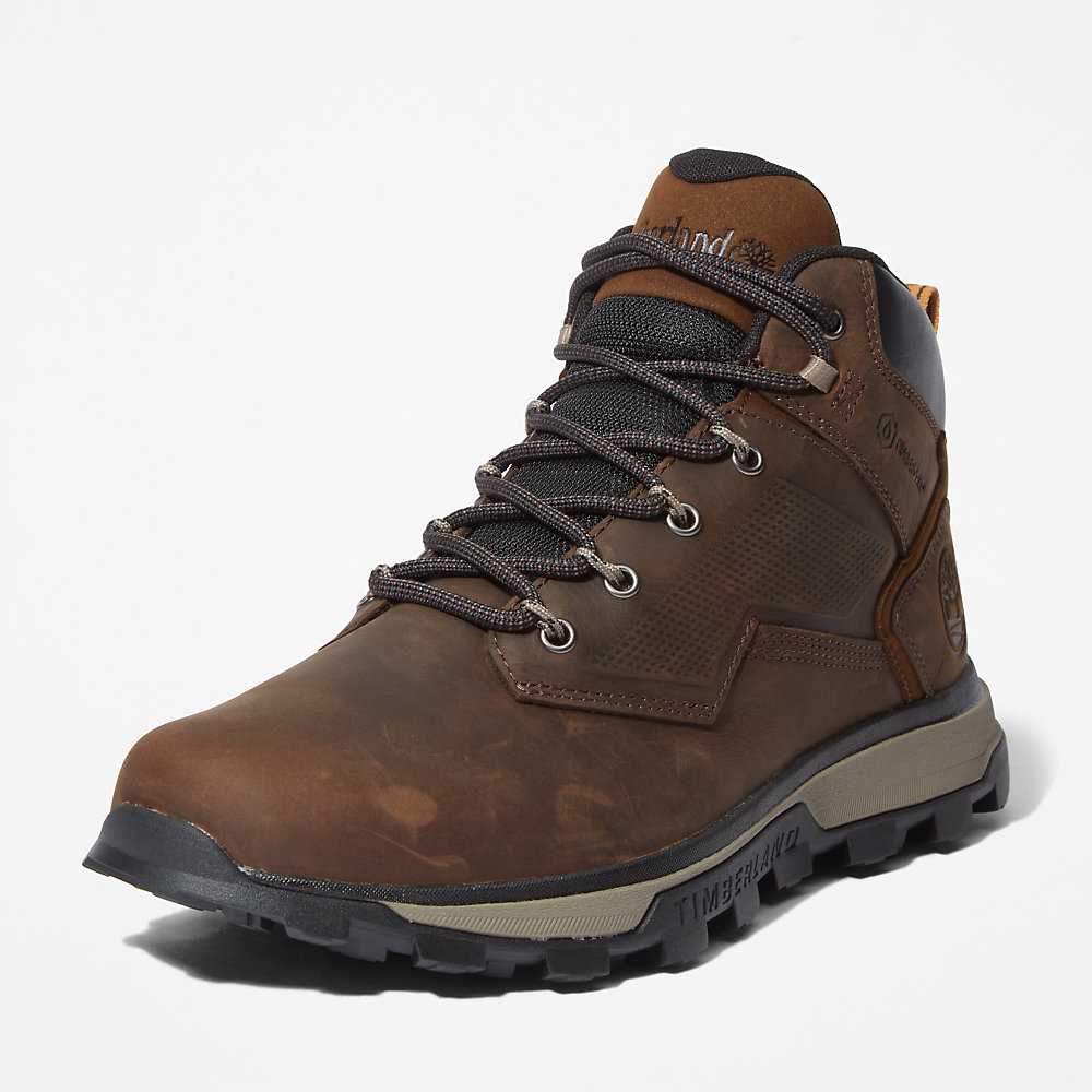 Men's Timberland Treeline Hiking Boots Dark Brown | UAE-8679051