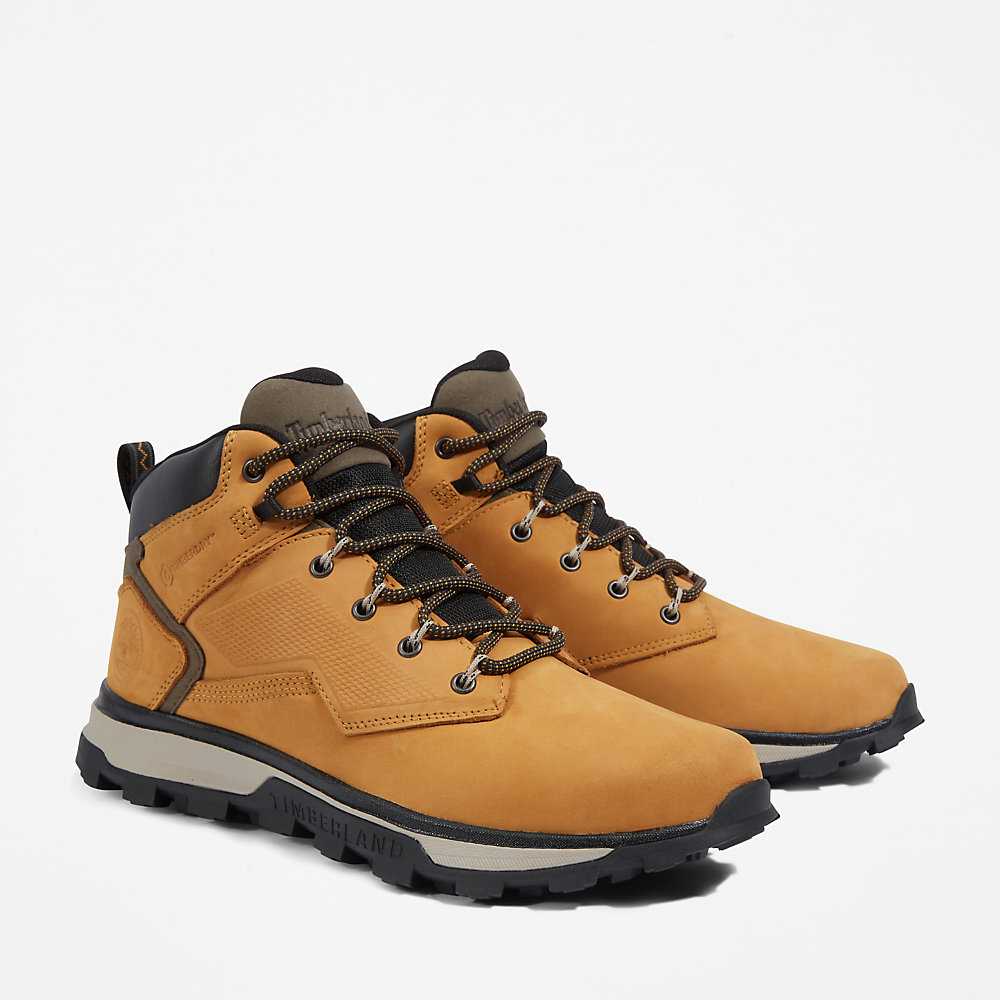 Men's Timberland Treeline Hiking Boots Yellow | UAE-0986172