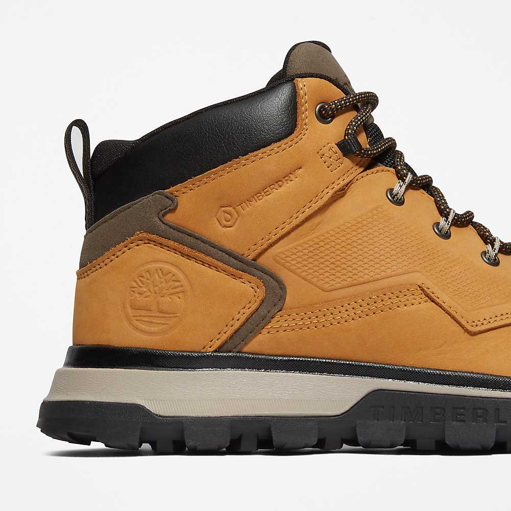 Men's Timberland Treeline Hiking Boots Yellow | UAE-0986172