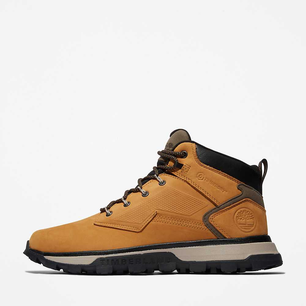 Men's Timberland Treeline Hiking Boots Yellow | UAE-0986172