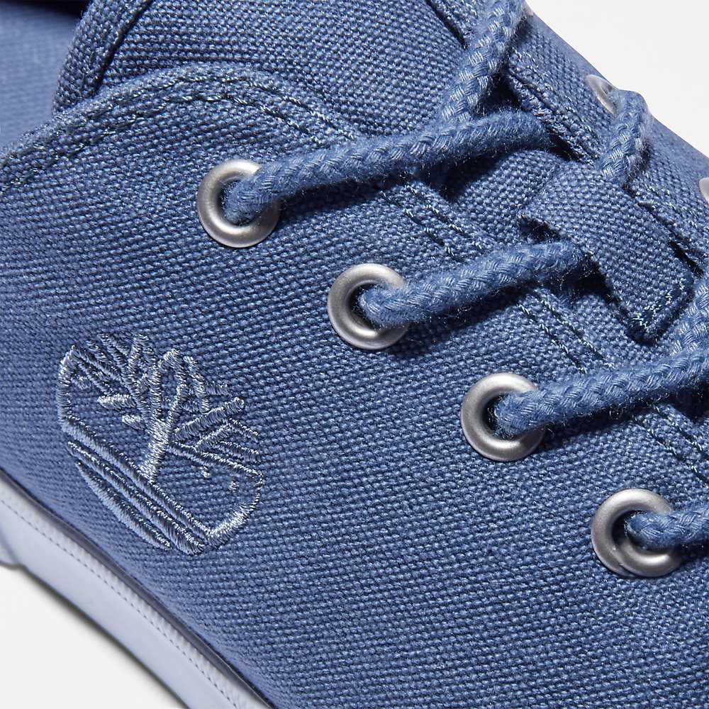 Men's Timberland Union Wharf 2.0 Sneakers Blue | UAE-9814670