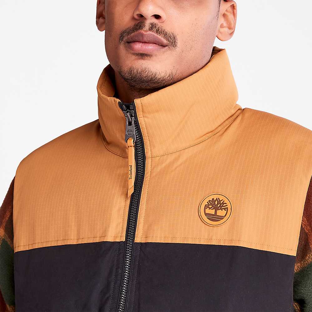 Men's Timberland Welch Mountain Vest Black | UAE-5317084