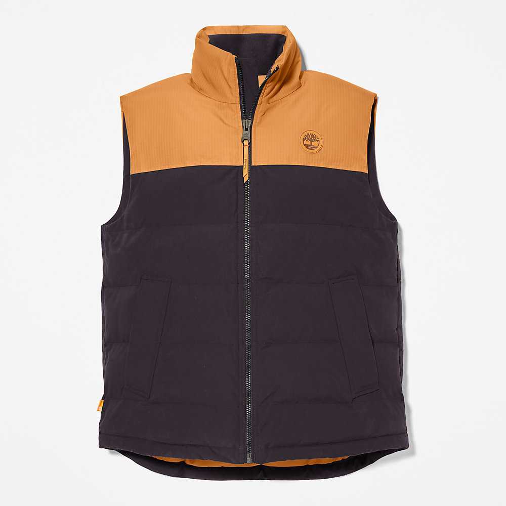 Men's Timberland Welch Mountain Vest Black | UAE-5317084