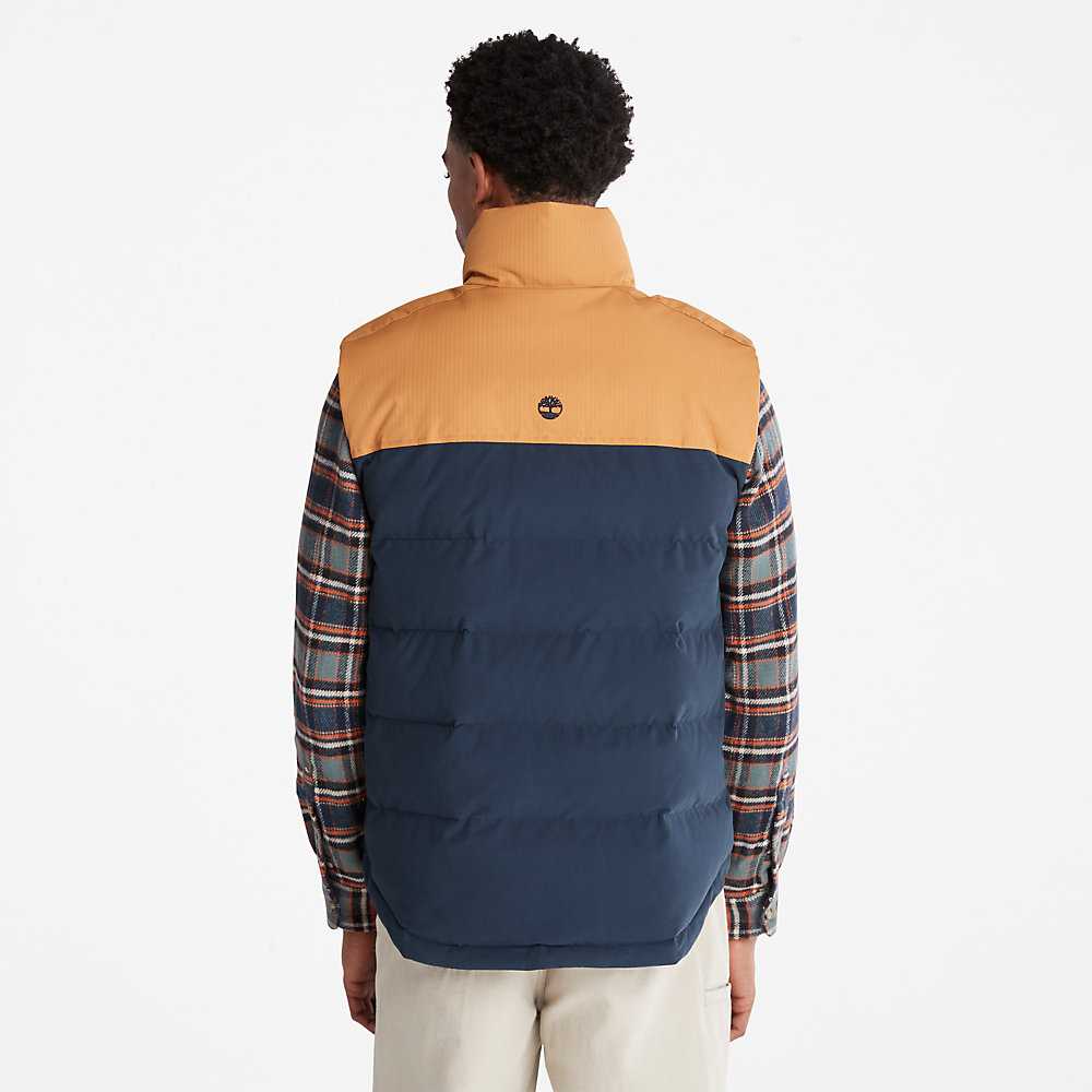 Men's Timberland Welch Mountain Vest Navy | UAE-8790165