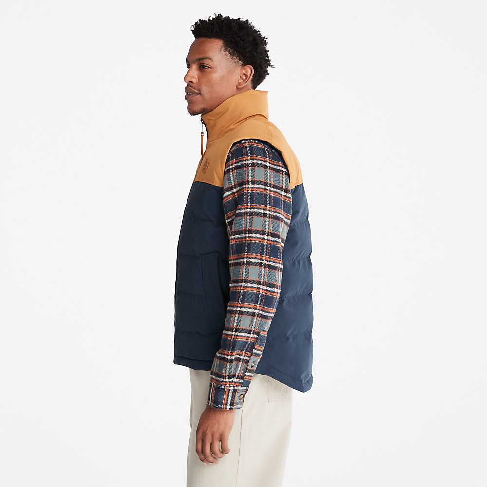 Men's Timberland Welch Mountain Vest Navy | UAE-8790165