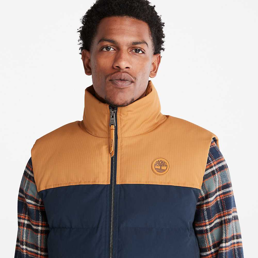 Men's Timberland Welch Mountain Vest Navy | UAE-8790165