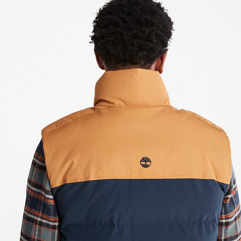 Men's Timberland Welch Mountain Vest Navy | UAE-8790165