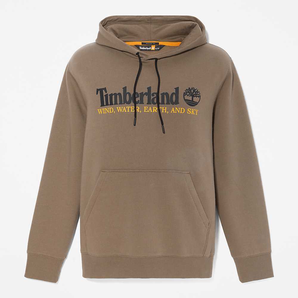 Men's Timberland Wind Water Earth And Sky Hoodie Green | UAE-0146783