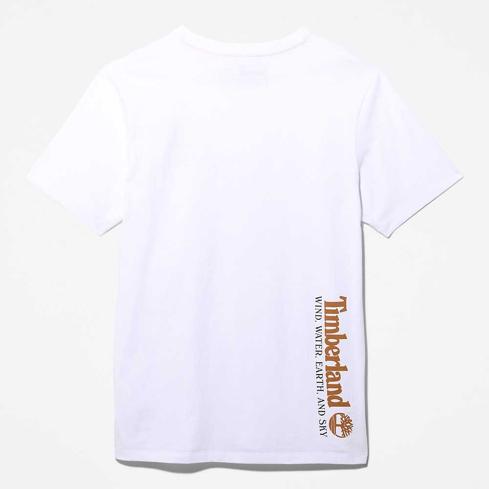 Men's Timberland Wind Water Earth And Sky T Shirts White | UAE-0973482