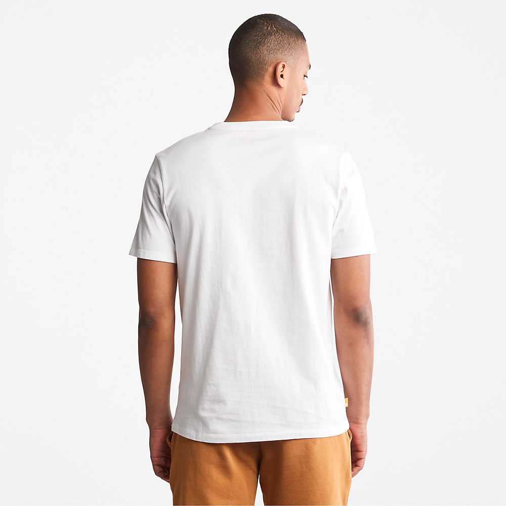 Men's Timberland Wind Water Earth And Sky T Shirts White | UAE-1495728