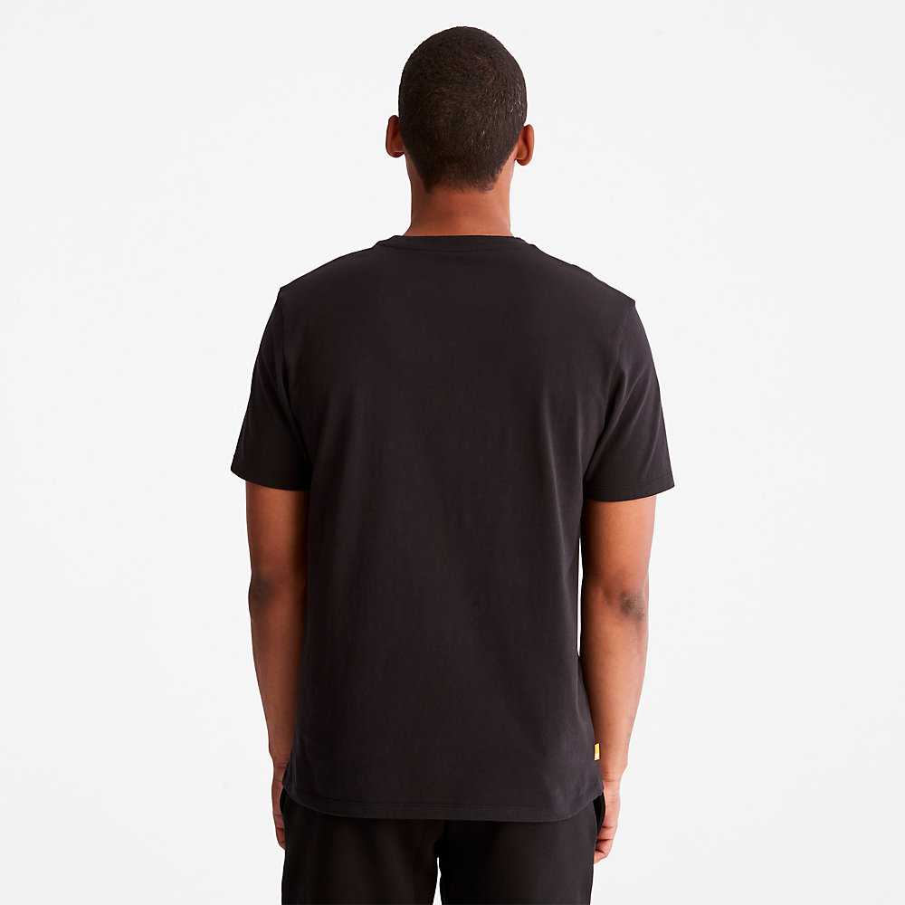 Men's Timberland Wind Water Earth And Sky T Shirts Black | UAE-5283961