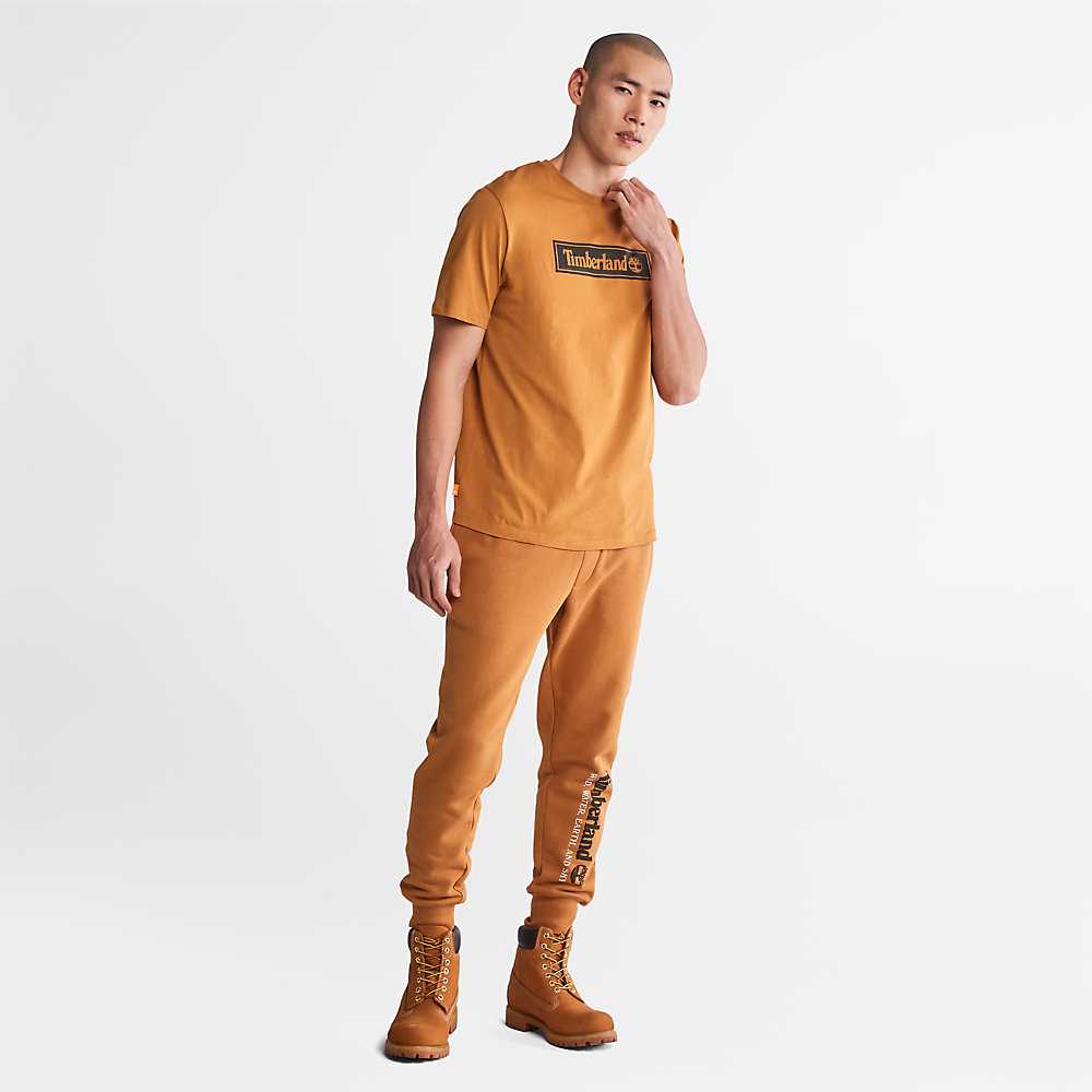 Men's Timberland Wind Water Earth And Sky Track Pants Light Brown | UAE-6278159