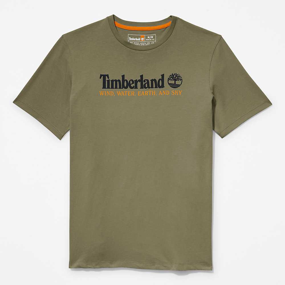 Men's Timberland Wind Water Earth And Sky T Shirts Green | UAE-8350629