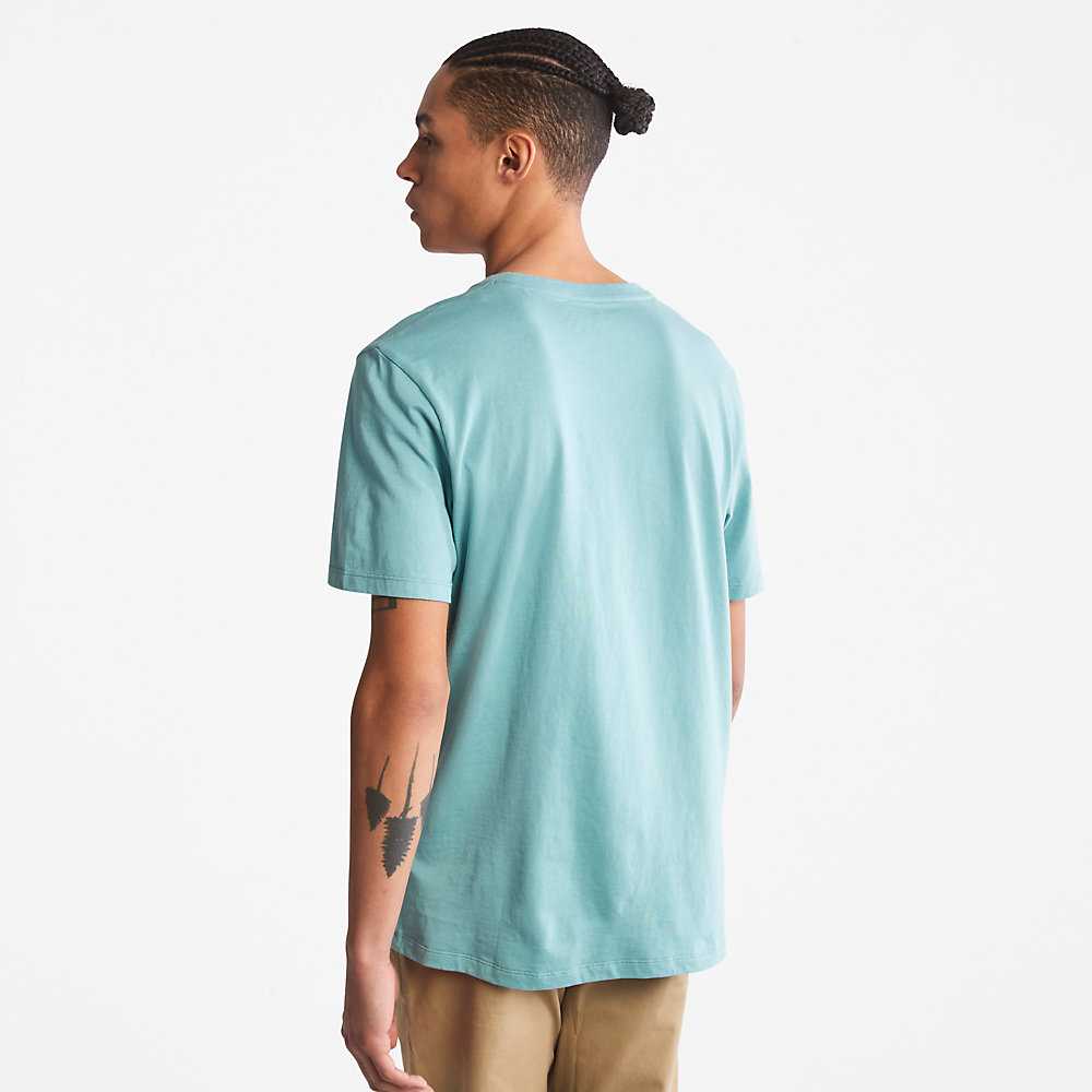 Men's Timberland Wind Water Earth And Sky T Shirts Turquoise | UAE-8506321