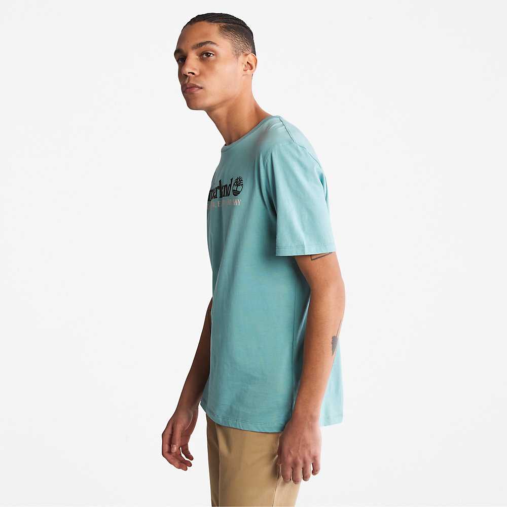 Men's Timberland Wind Water Earth And Sky T Shirts Turquoise | UAE-8506321