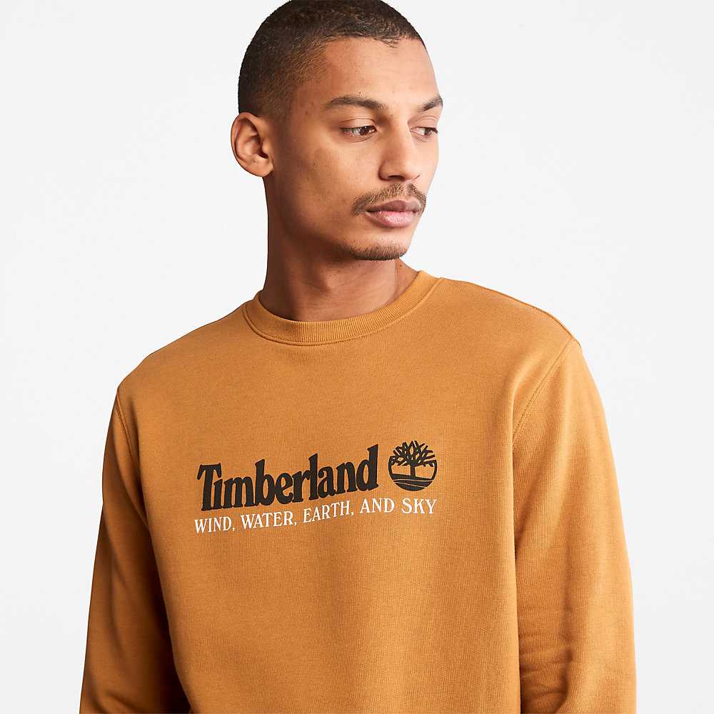 Men's Timberland Wind Water Earth And Sky Sweatshirt Yellow | UAE-8961352