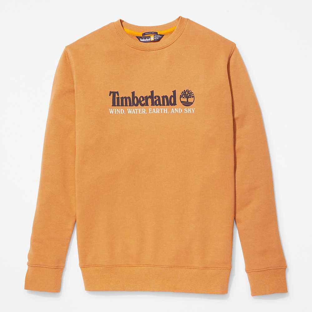 Men's Timberland Wind Water Earth And Sky Sweatshirt Yellow | UAE-8961352