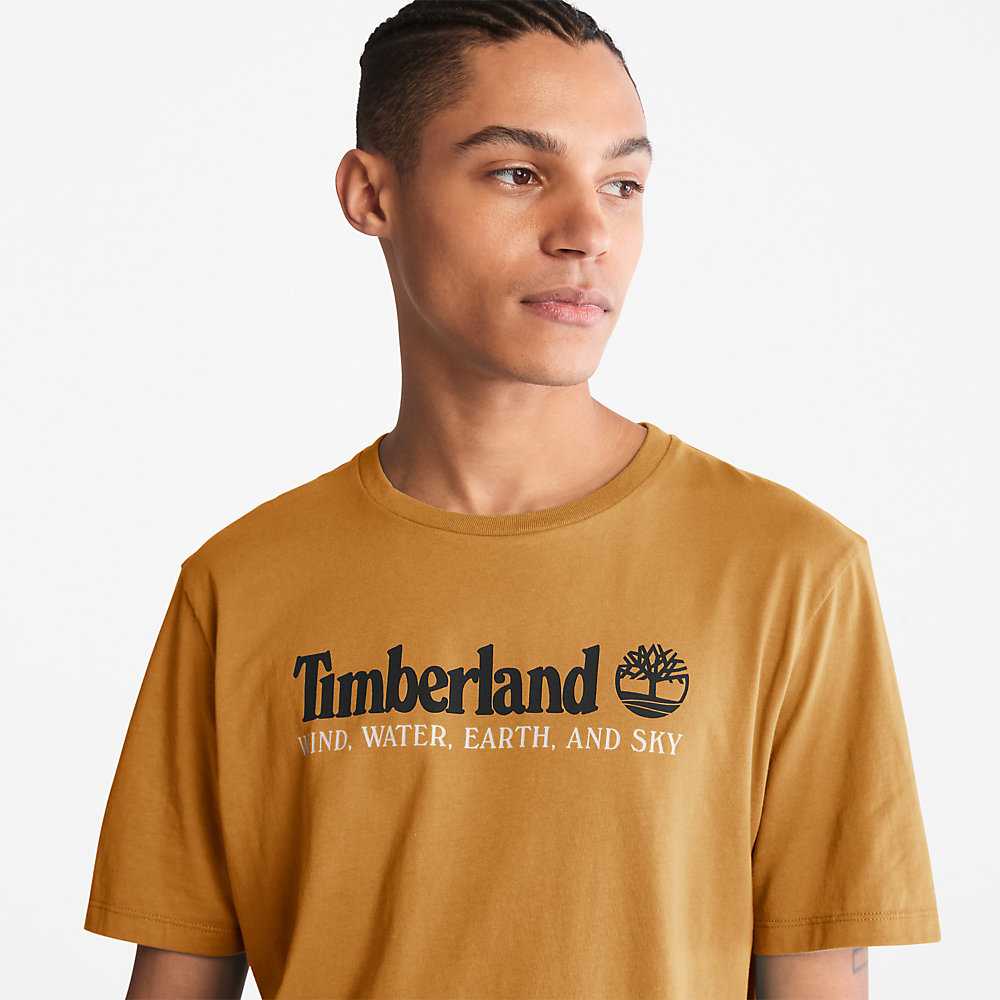 Men's Timberland Wind Water Earth And Sky T Shirts Brown | UAE-9512473