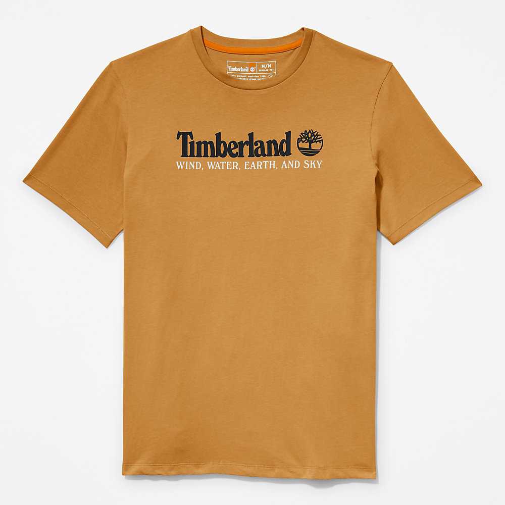 Men's Timberland Wind Water Earth And Sky T Shirts Brown | UAE-9512473